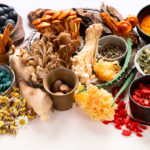 Adattogeni:  azione pleiotropica e normalizzante