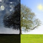 Cronobiologia: l’arte di vivere secondo i nostri ritmi biologici
